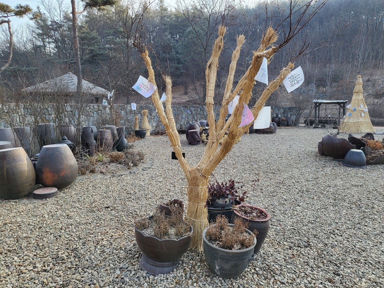 여주 황학산수목원 나무가 추운 겨울을 나기 위해 지푸라기 옷을 입고 월동준비를 마쳤다. 13일 목요일인 오늘 경기·인천지역은 오전까지 약한 눈이나 비가 내리겠고, 아침부터 차차 맑아지겠다. (사진=김광섭 기자)