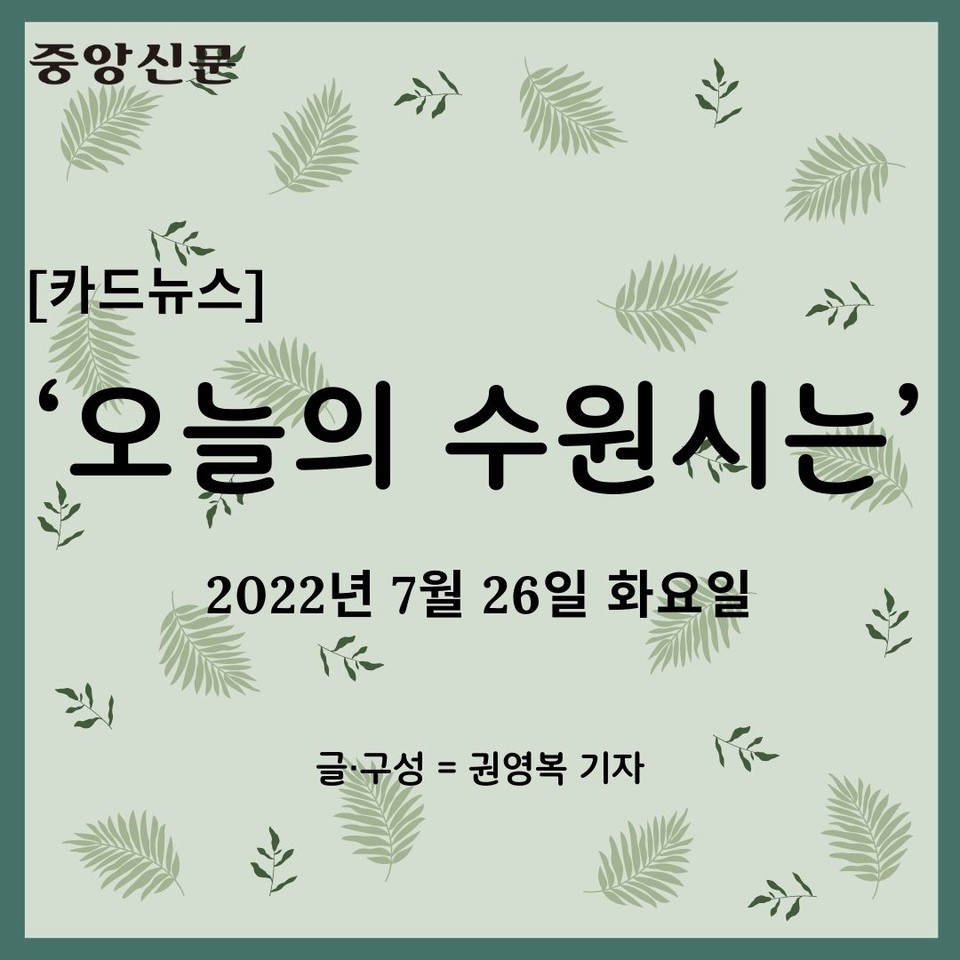 [카드뉴스] ‘오늘의 수원시는’