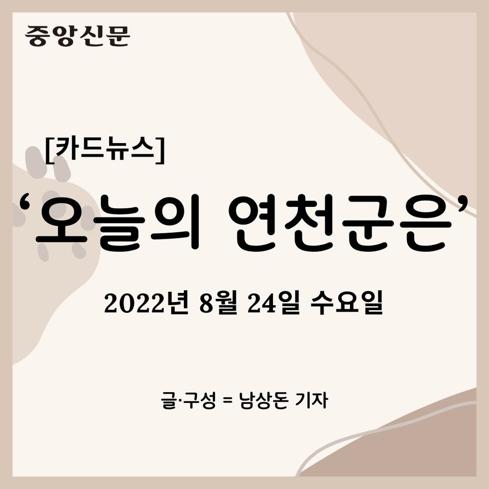 [카드뉴스] ‘오늘의 연천군은’