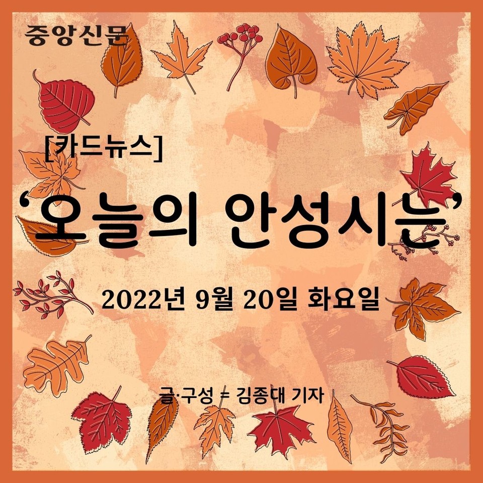 [카드뉴스] ‘오늘의 안성시는’