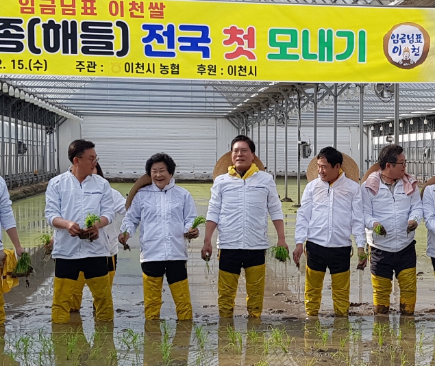 15일 오후 이천시 호법면서 ‘전국 첫 모내기’ 행사에 참석한 김경희 시장(가운데)과 송석준 국회의원(오른쪽), 김하식 의장(왼쪽)이 모심기를 하다가 힘든 듯 잠시 휴식하고 있다. (사진=송석원 기자)