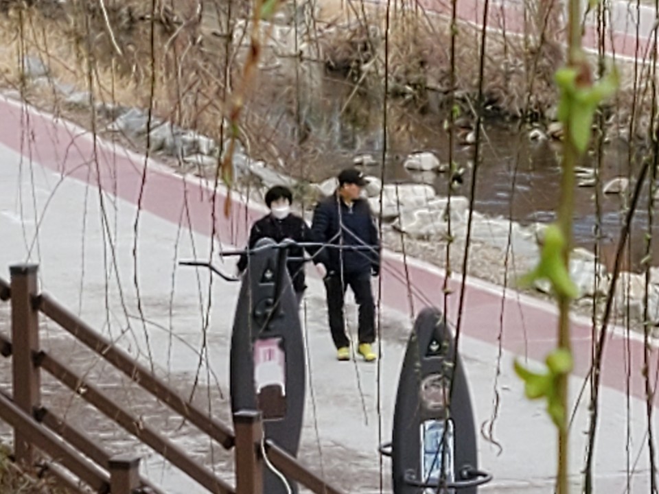 8일 오후 수원시 권선구 세류동 버들교 인근에 파랗게 돋아난 수양버들 새싹 사이로 한 부부가 산책 하고 있다. (사진=권영복 기자)