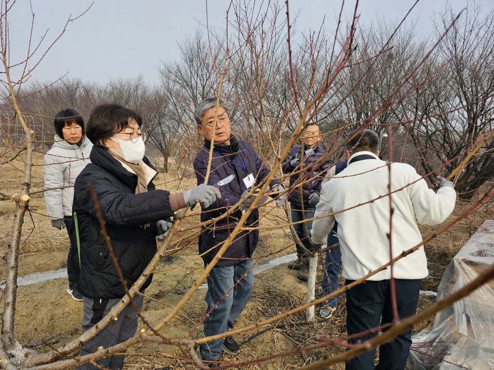 국제사이버대학교(총장 홍승정) 웰빙귀농조경학과 학우들의 전정 실습이 지난 15일 실시됐다. (사진제공=국제사이버대)