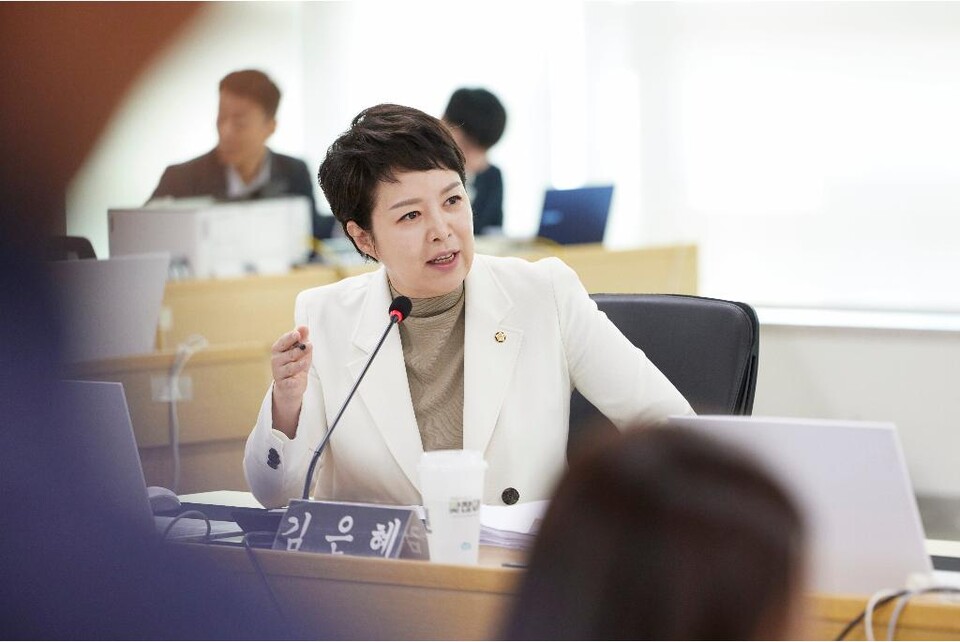 20일 오전 경기도청 4층 율곡홀에서 열린 2025 국토교통위원회 국정감사에서 김은혜 의원이 질의를 하고 있다. (사진제공=경기도)