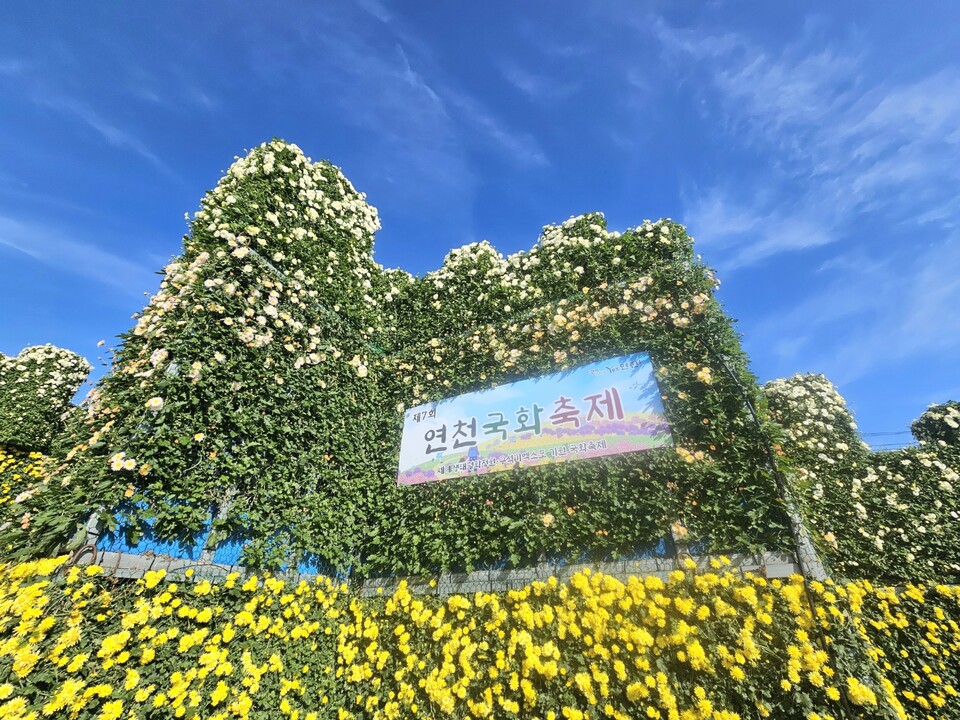 21일 오전 10시30분께 찾은 연천군 전곡리 선사유적지가 형형색색 국화꽃으로 물들었다. '연천 국화축제'가 한창인 현장에는 이른 시간에도 불구하고, 가을 햇살 아래 만개한 국화와 어우러진 풍경을 즐기려는 시민과 관광객들의 발길이 이어졌다. (사진=오기춘 기자)
