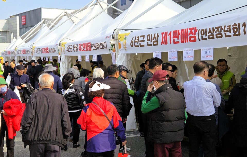 이천시 신둔면 이천인삼판매센터 일원에서 열린 제11회 ‘이천인삼 건강축제’가 10월31일부터 11월2일까지 사흘간의 일정을 마치고 성황리에 막을 내렸다. (사진=송석원 기자)