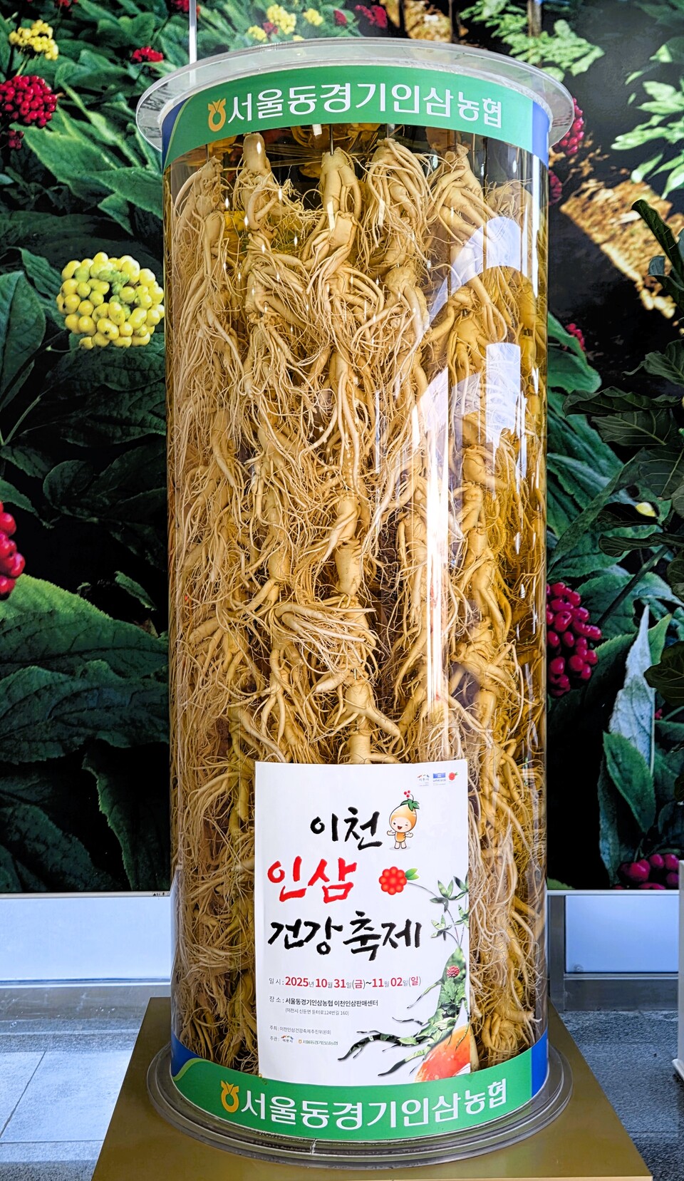 이천시 신둔면 이천인삼판매센터 일원에서 열린 제11회 ‘이천인삼 건강축제’가 10월31일부터 11월2일까지 사흘간의 일정을 마치고 성황리에 막을 내렸다. (사진=송석원 기자)
