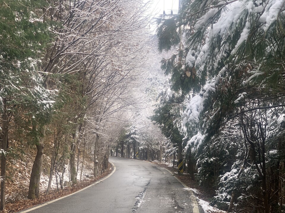 15일 오전 동두천시 동두천천으로 알려진 왕방계곡(탑동동 일원)이 최근 내린 눈의 영향으로 순백의 설경을 연출하고 있다. (사진=오기춘 기자)