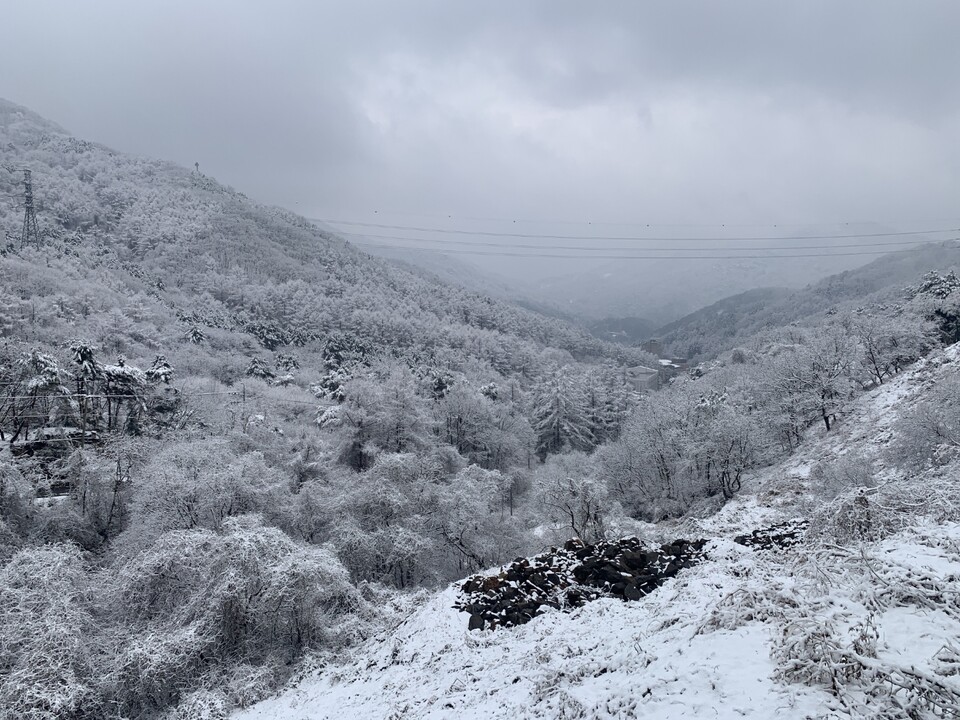 6일 오후 2시30분께 눈길을 따라 오른 동두천 왕방산 자락이 때아닌 설국(雪國)으로 변했다. (사진=오기춘 기자)