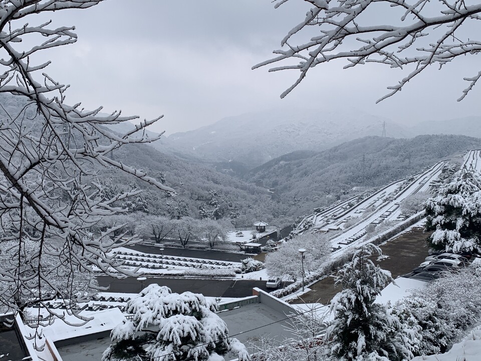 6일 오후 2시30분께 눈길을 따라 오른 동두천 왕방산 자락이 때아닌 설국(雪國)으로 변했다. (사진=오기춘 기자)