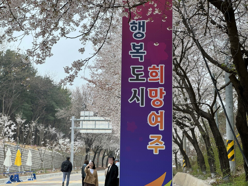 여주시 흥천면 일대에서 열리는 ‘여주 흥천 남한강 벚꽃축제’는 벚꽃을 따라 걷는 길 자체가 축제인 봄 행사다. 올해 축제는 10일부터 12일까지 사흘간 진행된다. (사진=김광섭 기자)