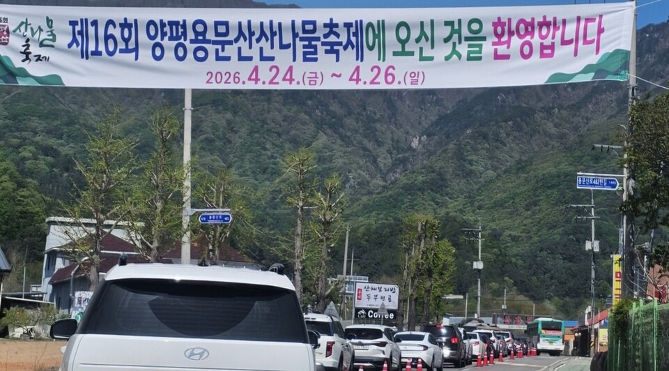 축제 개막 첫날 용문사 입구 일대 도로에 차량 행렬이 길게 이어지고 있다.