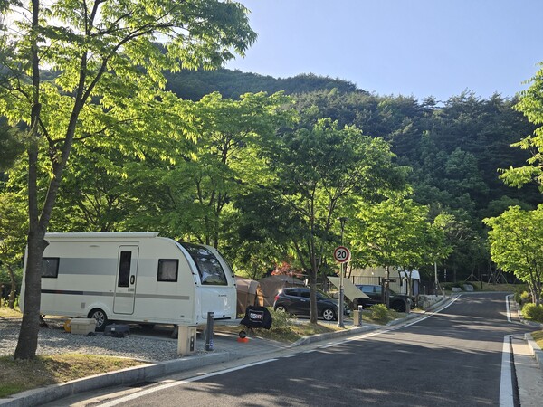 청량산 수원캠핑장, 시민 힐링 아지트 됐다‥ 이용객 65%가 수원시민