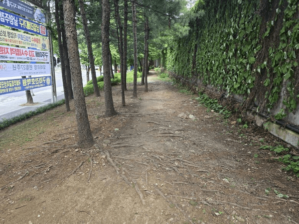 구리시 인창동 완충녹지 맨발 걷기 산책로 조성 완료