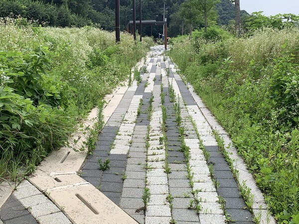 74억 들인 연천 백학저수지 수변공간 관광객 없이 잡초만 무성